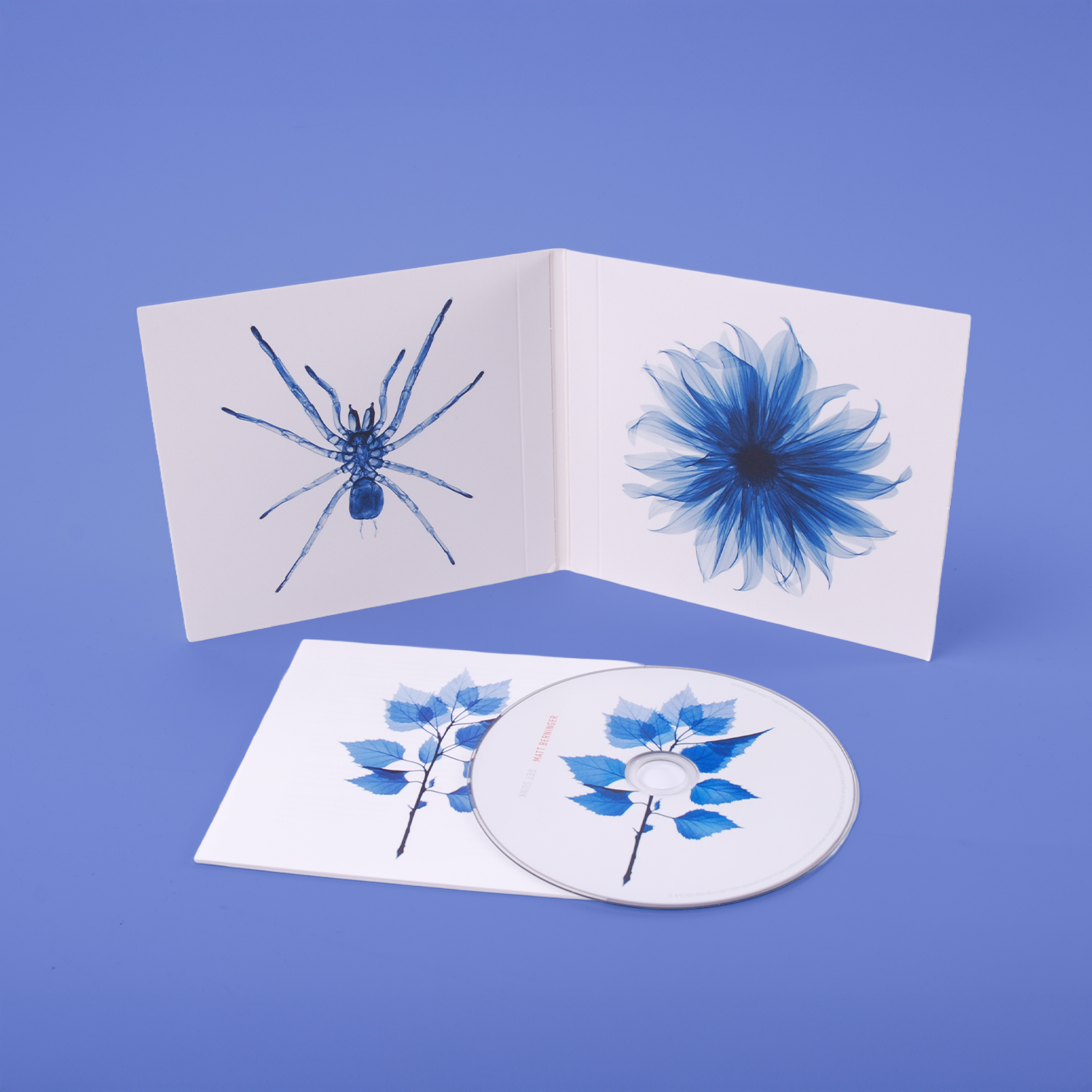 Matt Berninger – Get Sunk CD